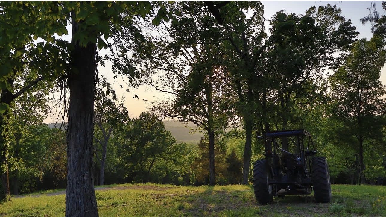 Golden evening light through trees beside a farm tractor