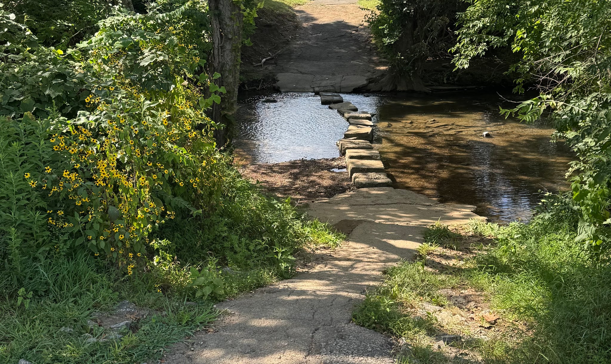 Stepping stones crossing a quiet Tennessee creek beside wildflowers